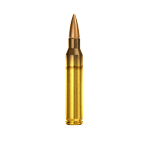223REM PSP 55GR